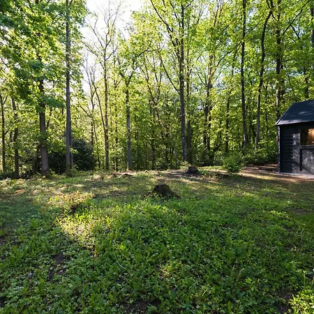 Chalet Wood *